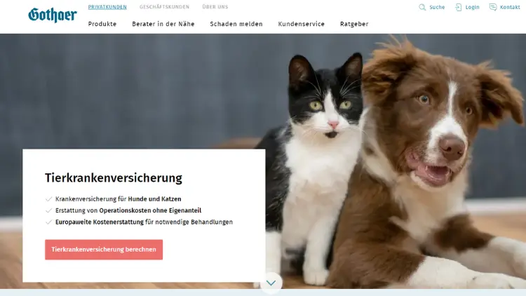Gothaer Tierkrankenversicherung Hund Was Sie wissen müssen