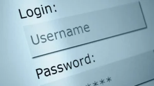 PayPal-Login vergessen – So stellen Sie den Zugang her