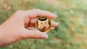 Shiba Inu Coin kaufen – Tipps für erfolgreichen SHIB-Handel