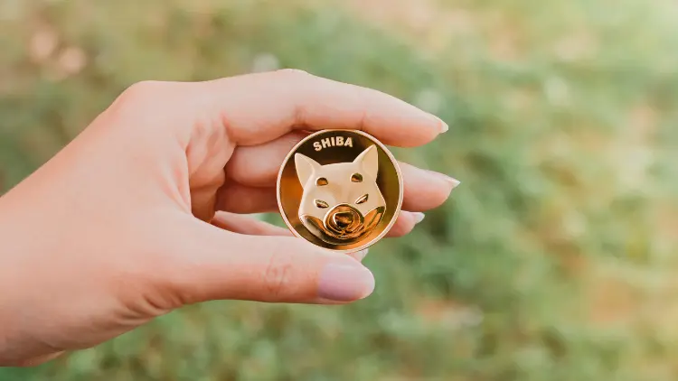 Shiba Inu Coin kaufen – Tipps für erfolgreichen SHIB-Handel