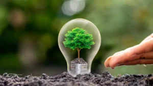 Strom sparen leicht gemacht – Tipps zum Stromverbrauch senken